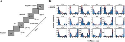 How Our Perception and Confidence Are Altered Using Decision Cues